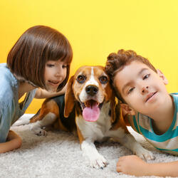 Jazz Notes for Doggy