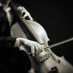 Tranquil Symphony Guides to Calm