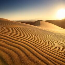 Notas Expresivas Alineadas