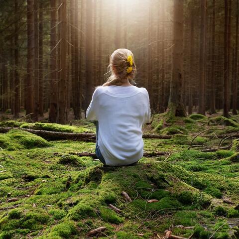 Peaceful Orchestra: Meditation Melodies