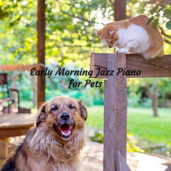Fuzzy Friend Beats