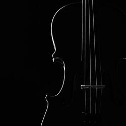 Serene Tunes for Quiet Thought