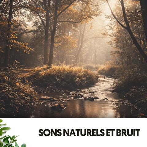 Sons Naturels et Bruit : Berceau de Gouttes