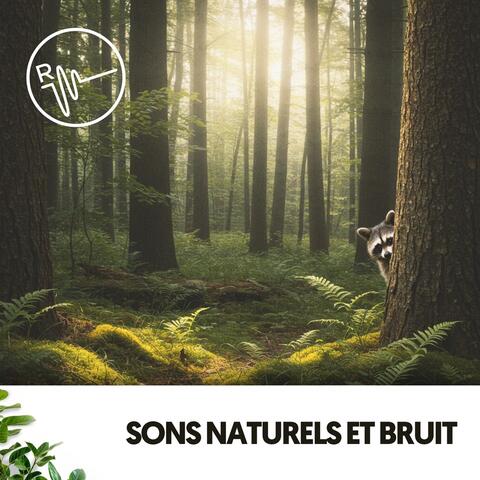 Sons Naturels et Bruit : Ondes Naturelles