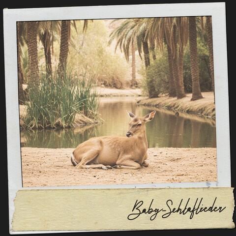 Baby-Schlaflieder: Oasen-Retreat