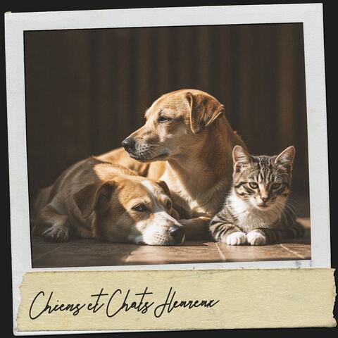 Chiens et Chats Heureux : Mélodies pour Queues Remuantes