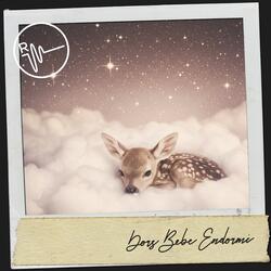 Aurora's Embrace Wiegenlied