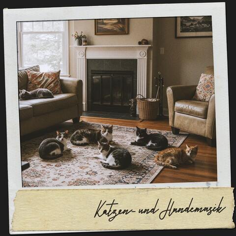 Katzen- und Hundemusik: Harmonie der Schnurrhaare