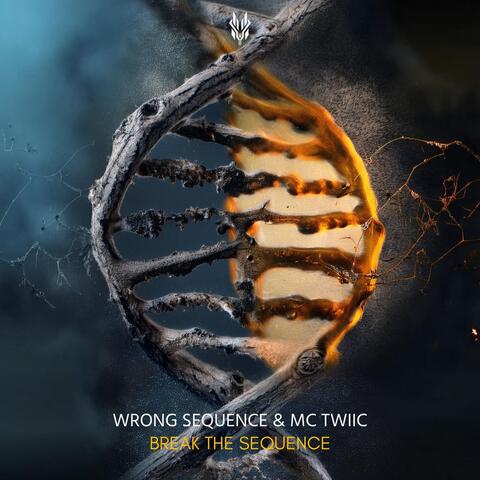 Break the Sequence