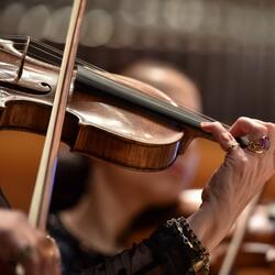 Quietude in Harmonic Bliss