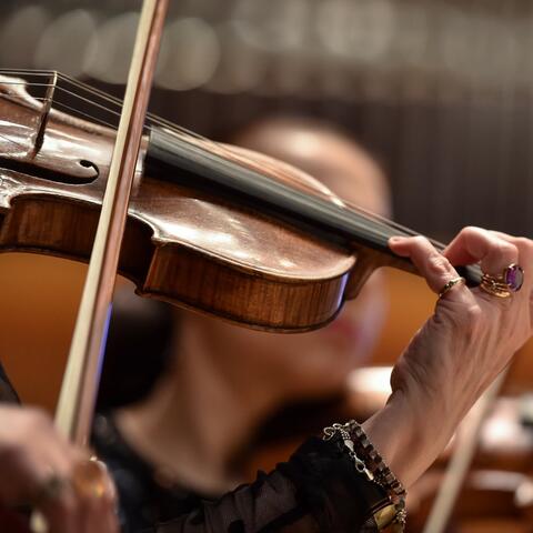 Symphony of Serenity: Orchestra Peace