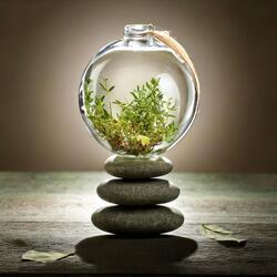 Inner Meditation Alignment