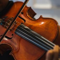 Gentle Dog Music Eases