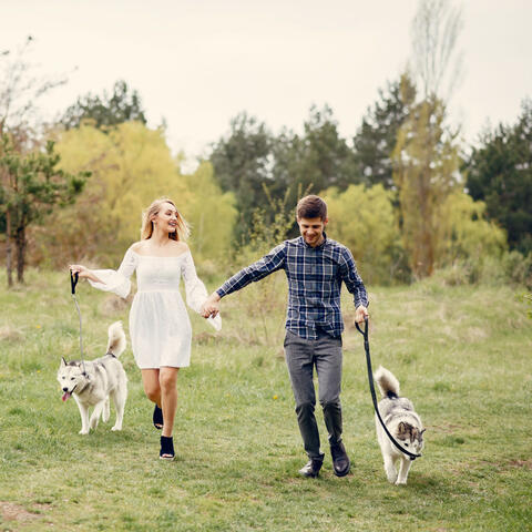 Pawsome Peace: Chill Music for Peaceful Walks with Pets