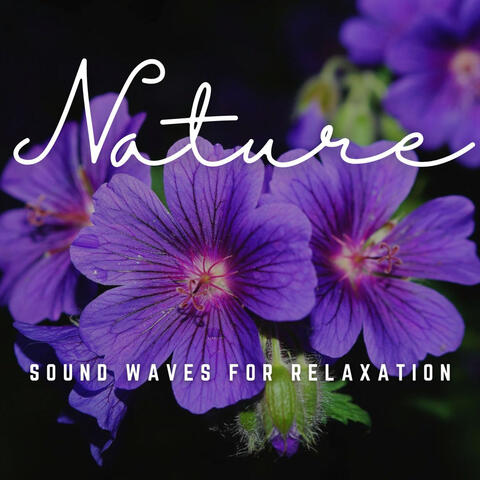 Harmonic Bliss: Sound Waves for Relaxation