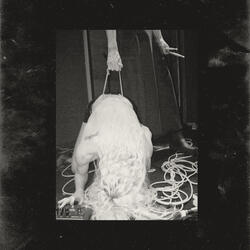 Rough (Interlude)