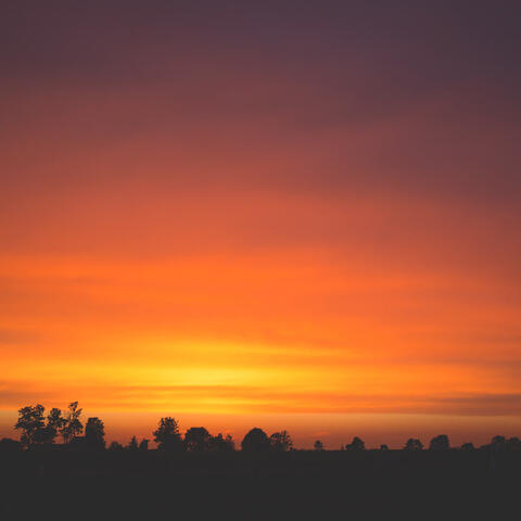 Work in Harmony: Piano Moments