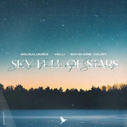 Sky Full Of Stars
