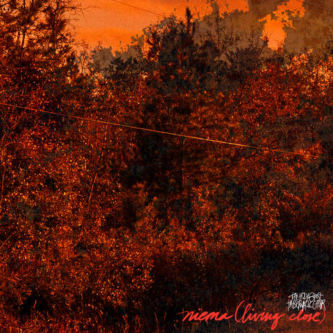 Niema (Living Close)