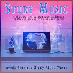 Theta Waves Better Memory Mode