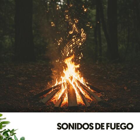 Sons de Feu: Paradis Musical