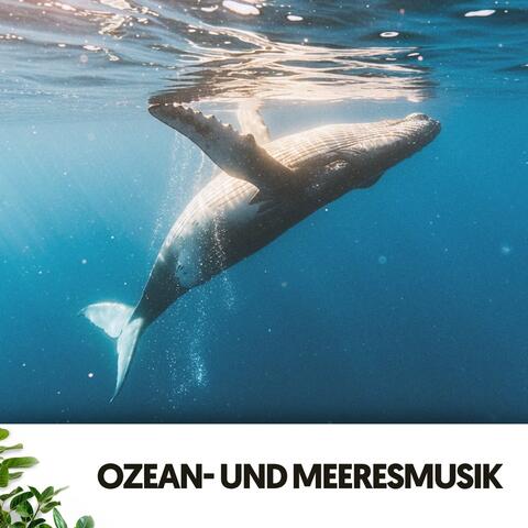 Ozean- und Meeresmusik: Melodien des tiefen Blaus
