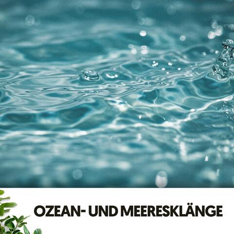 Ozean- und Meeresklänge: Mit der Tiefe