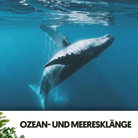 Ozean- und Meeresklänge: Tiefe Gedanken