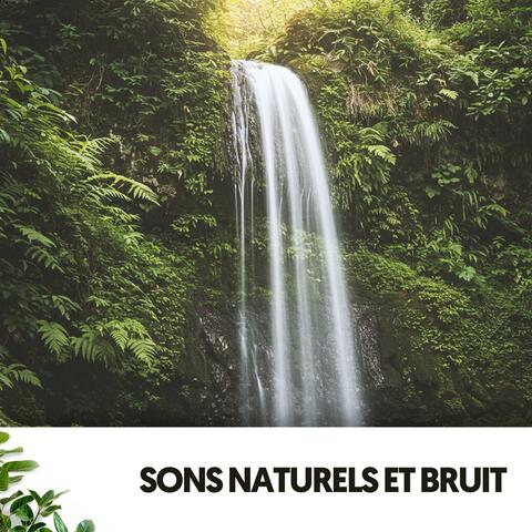 Sons Naturels et Bruit: Mélodies de l'Eau