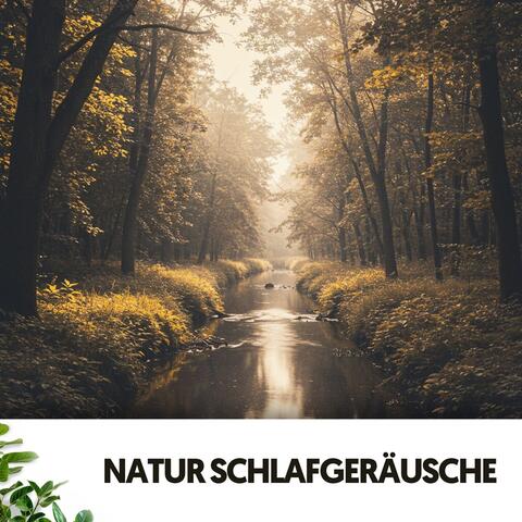 Natur Schlafgeräusche: Melodische Traumlandschaften