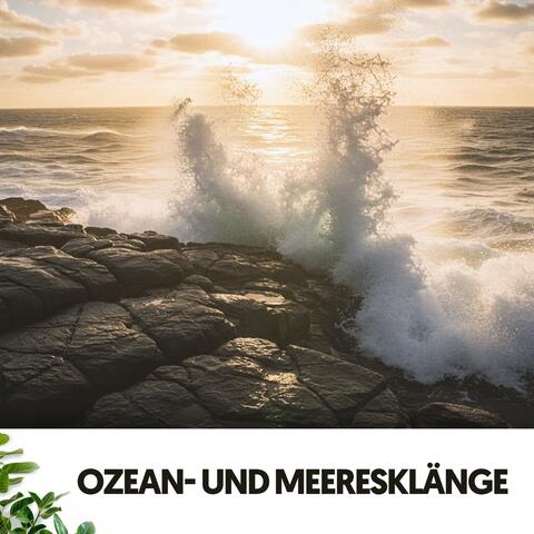 Ozean- und Meeresklänge: Kraft der Wellen
