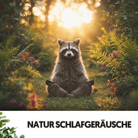 Natur Schlafgeräusche: Ruhiges Nachtgeflüster
