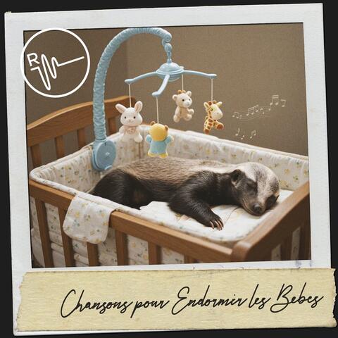 Chansons pour Endormir les Bébés: Mélodies pour la Lune