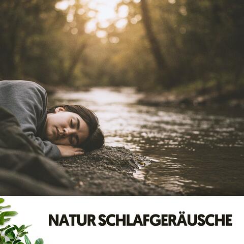 Natur Schlafgeräusche: Traumlandschaften am Fluss