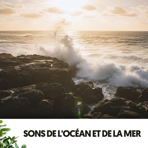 Sons de l'Océan et de la Mer: Pensées Profondes