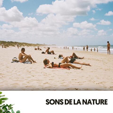 Sons de la Nature: Sérénade des Vagues