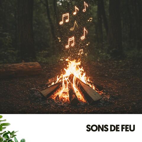 Sons de Feu: Danse dans les Flammes