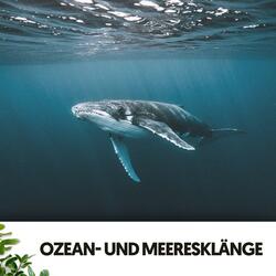 Echos von Stromschnellen