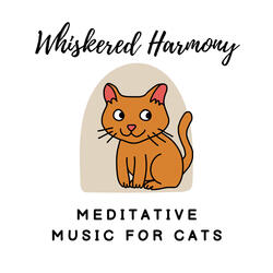 Whisker Twitching and Music for Cats
