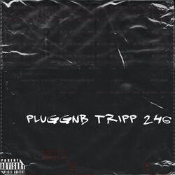 PLUGGNB TRIPP 246