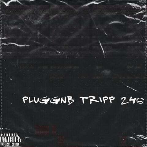 PLUGGNB TRIPP 246