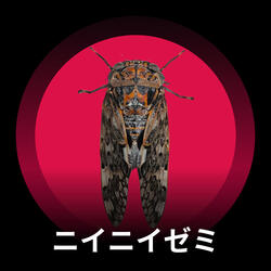 ニイニイゼミの夜風の囁き