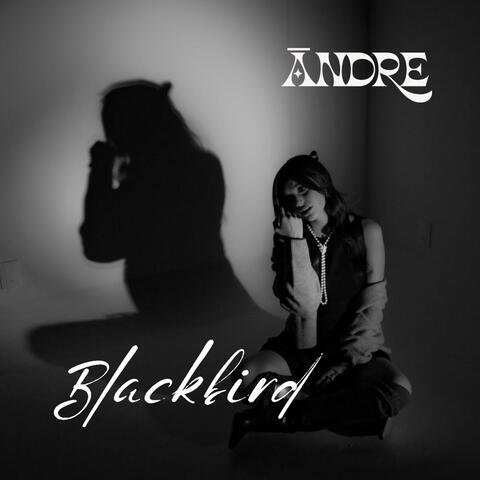 Blackbird