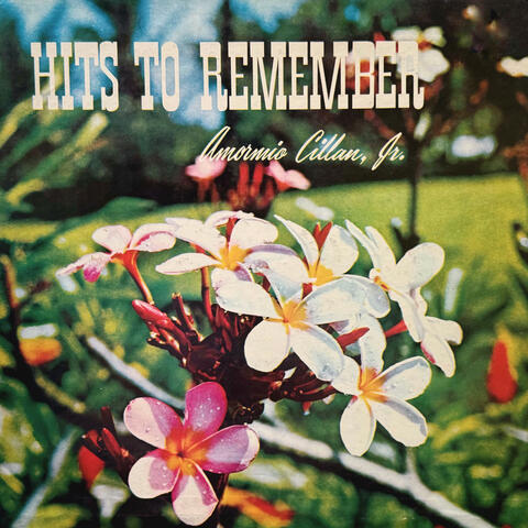 Hits to Remember