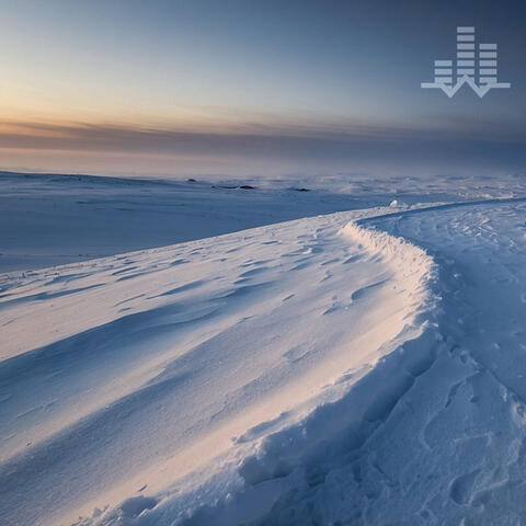 Snowy Tundra