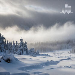 Singing Snow Storm