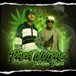 Se Preguntan