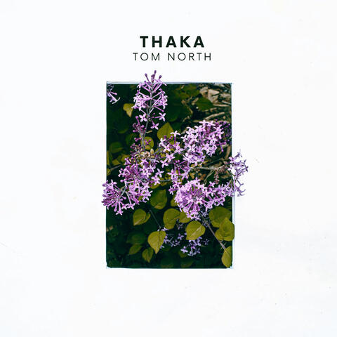 Thaka