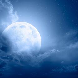 Evening Calm Gentle Harmony