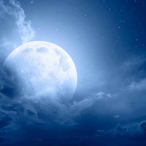 Evening Harmony: Gentle Sounds for Peaceful Rest